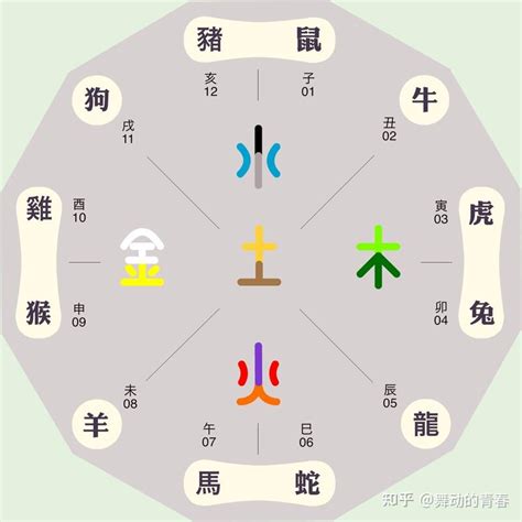 十二意思|中华文化里为何频频出现数字“十二”？它与生肖的起源有密切关系